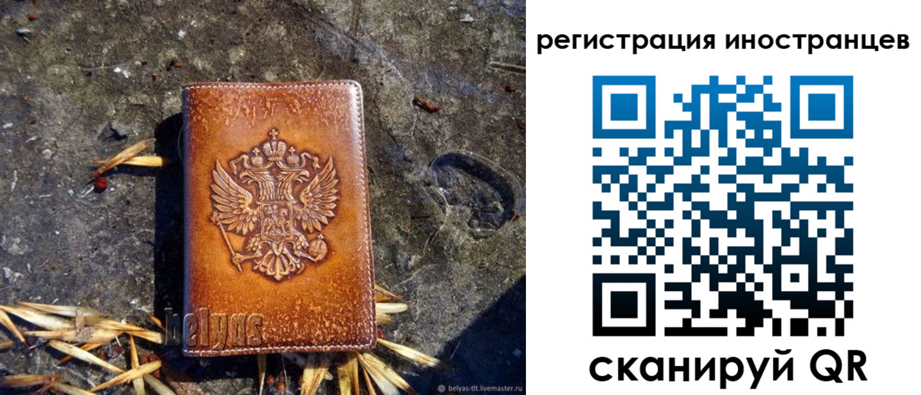 прописка регистрация в Сасово